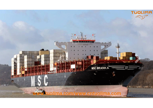 Seafarers of MSC's over 10,000-container ship were infected by Covid-19, forced to suspend sailing
